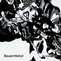 BASILICAST 002 - Bauernfeind