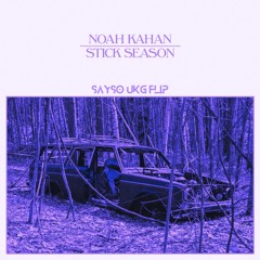 Noah Kahan - Stick Season (SAYSO UKG Flip) FREE DL