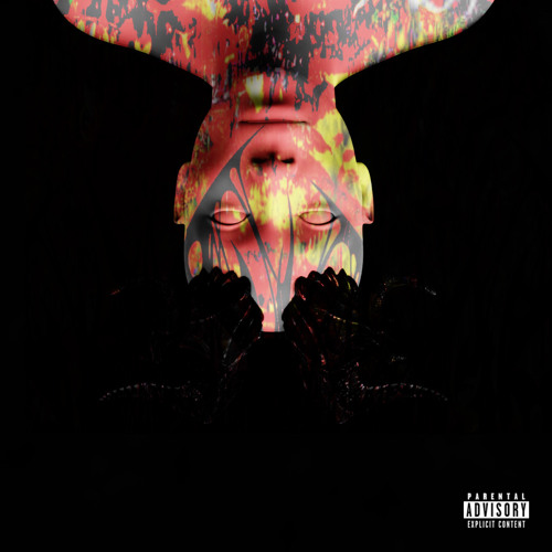 Birds In Tha Air