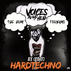 Voices In My Head X The Hum X Tsunami - RT HardTechno Edit .wav