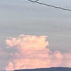 #わくわくミックスカレンダー 12/24