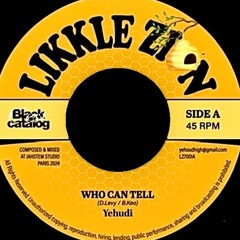 LZ7001A - Yehoudi - Who Can Tell