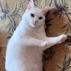 Love You More Than Anyone - Build (cover).mp3