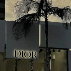 Christian Dior - Hustlang Robber, VSOUL