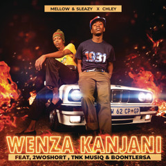 Wenza Kanjani (feat. 2woshort, TNK MusiQ & BoontleRSA)