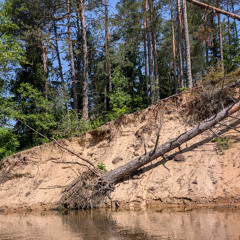 Džiaukitės gyvenimu kol galit