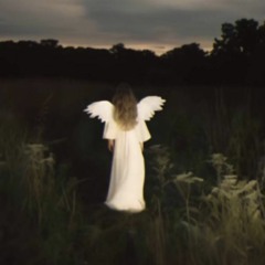 Paul Van Dyk, Baadwrk, Boris Redwall - For An Angel (HARDGROOVE REMIX)