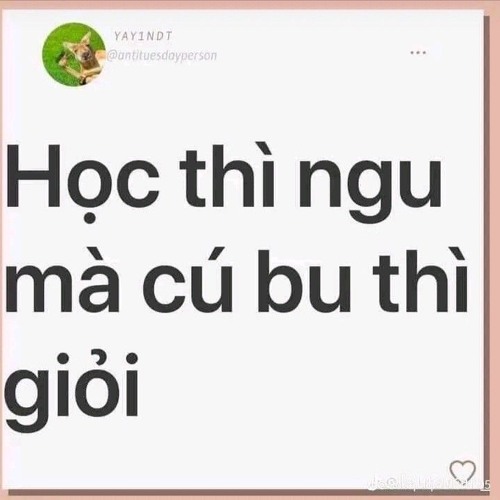 list này để dưỡng sinh🤯