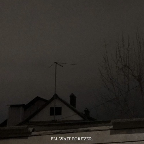 rotting corpse with wings