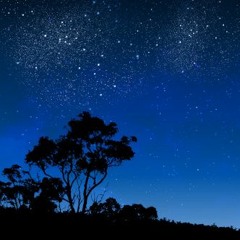 УННВ - Лунная Соната (slowed)