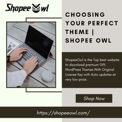 Wedding WordPress Wonders: Choosing Your Perfect Theme | Shopee Owl