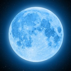 Full Moon House Flip