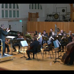 Never Look Always Notice I - for chamber orchestra