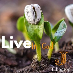Live in God