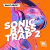 Sonic Bass Trap 2 | Serum 2 Presets, Drums & Bass Loops