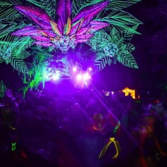 #3 Melodic Cruise | Dawid Molek