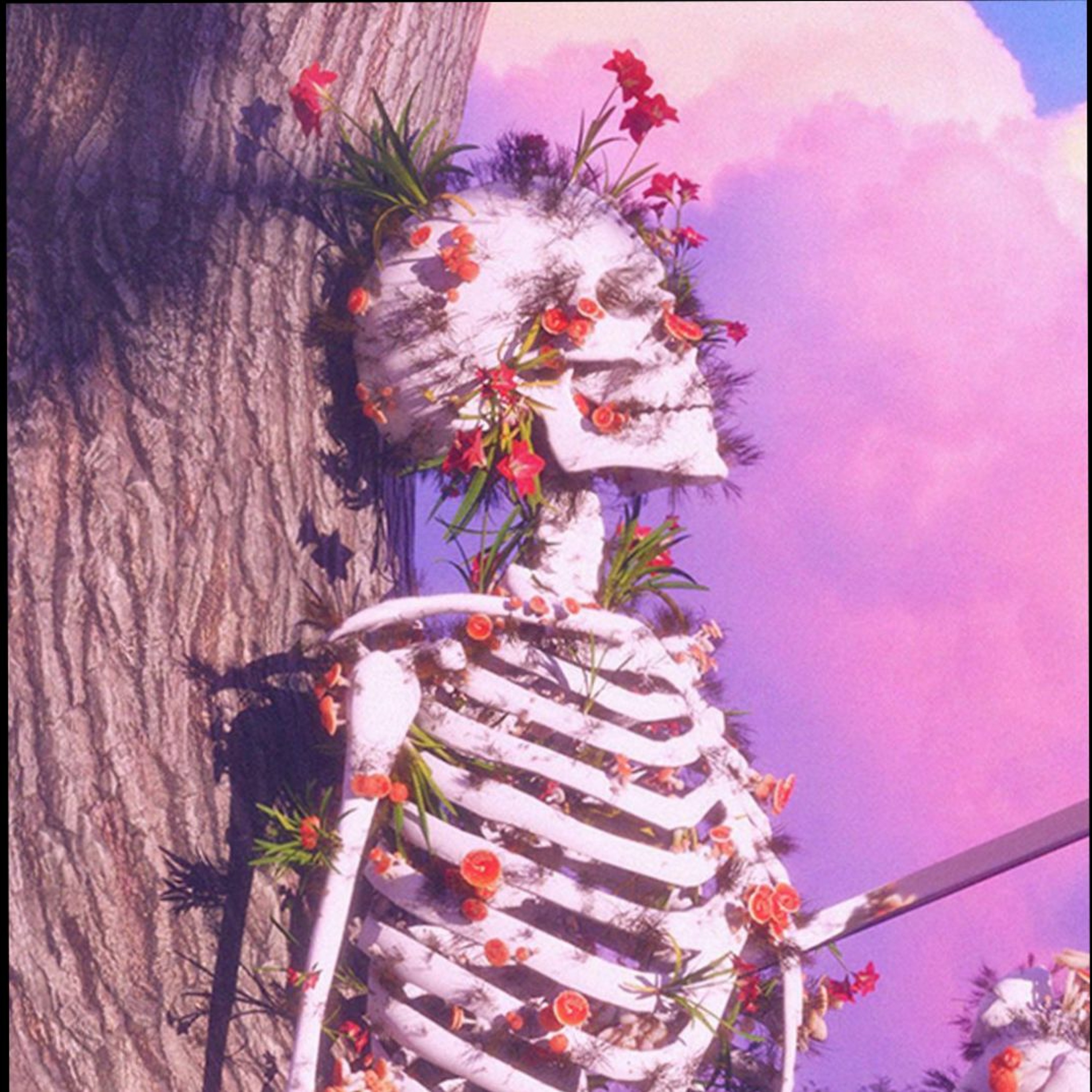 I CANT STOP episode artwork
