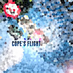 Cope's Flight ~sunset Attack~