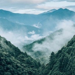 تلاوة ندية من سورة الحجرات