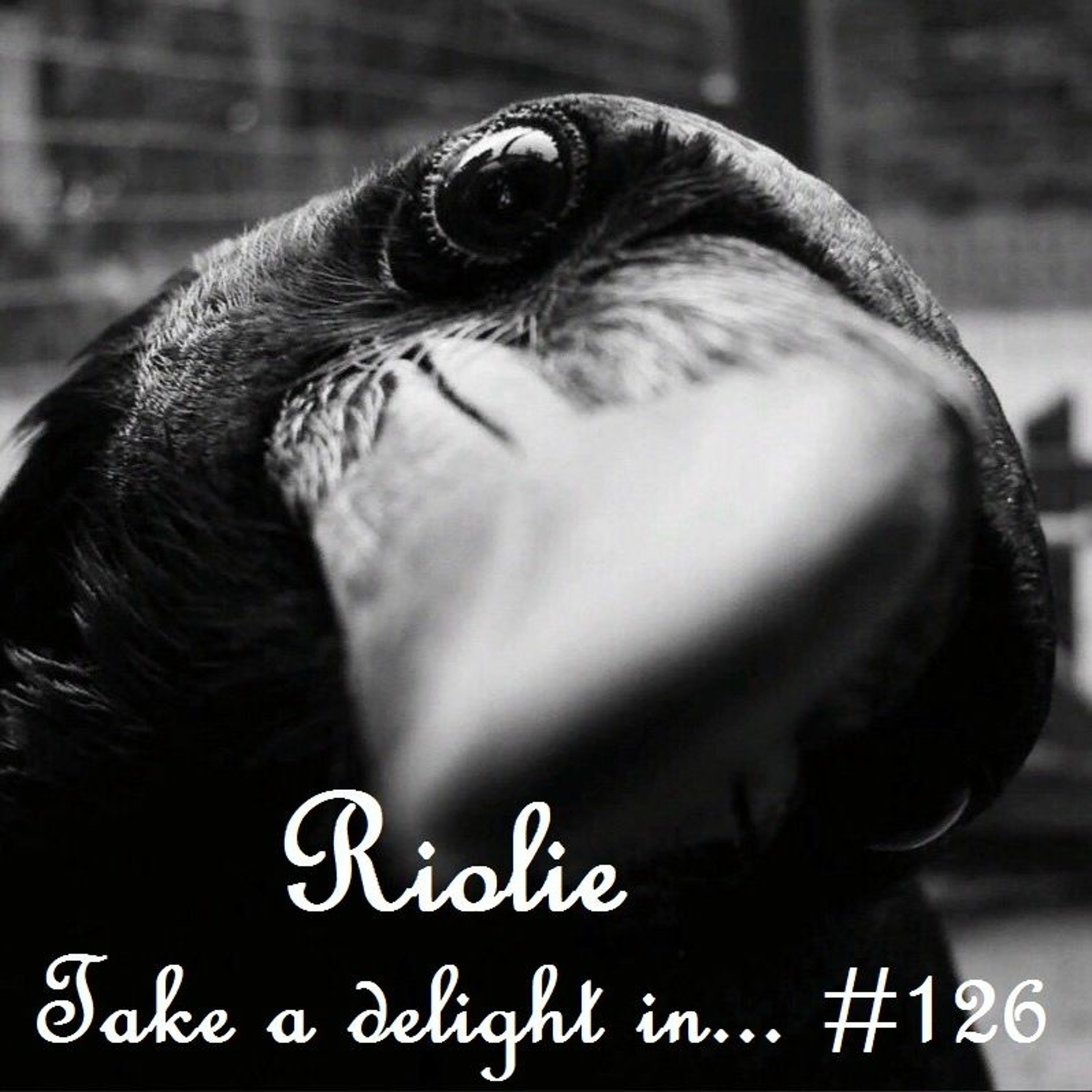 Take a delight in