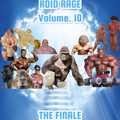 ROID RAGE VOL. 10 (THE FINALE)