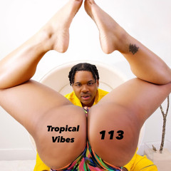 TROPICAL VIBES 113 (Afrodancehall mix 2023)