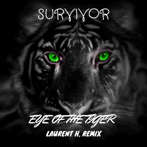 Survivor - Eye Of The Tiger ( Vinyl 12 Extended Remix) 