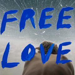 Sylvan Esso - Ferris Wheel - Giraffe Lookout DJ Edit