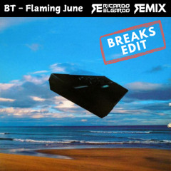 BT - Flaming June (Ricardo Elgardo Remix - Breaks Edit)