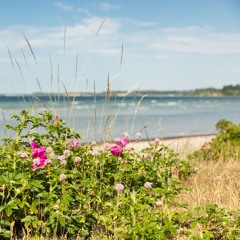 mariah carey - without you-piano cover