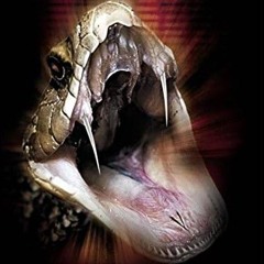 ☥ {108𝑄𝑢𖨆𝑡𝑡𝑒𝑟z - Super Snakez} ☥ (prod. efton) #sbl-exclusive #Sk8rMuzic #Snakepit