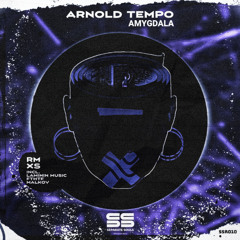 Arnold Tempo - Amygdala (Malkov Remix)