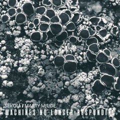 Sekoia / Marty Mjude - Machines no longer responding (Forthcoming on @ce.quences Label)