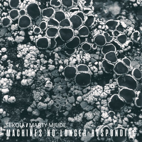 Sekoia / Marty Mjude - Machines no longer responding (Forthcoming on @ce.quences Label)