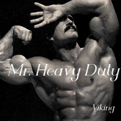 Mr. Heavy Duty (Viking Hardstyle)