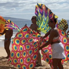 Flagging On The Beach - DJ Rotten Robbie