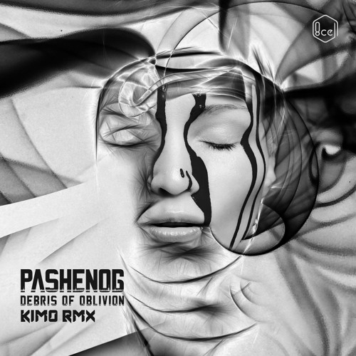 Pashenog - Debris Of Oblivion (KiM0 rmx)