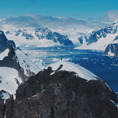 Go With The Floes