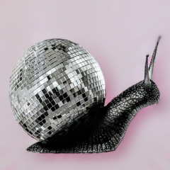 Maikrosoft's Funky Disco Snailhouse Mix