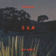 3 A.M