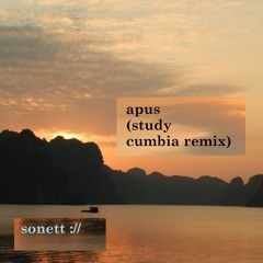 Danit - Apus (Study Cumbia Remix) (more beautiful edits on spotify (link in comments)) ❤️