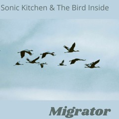 MIGRATOR (WITH SONIC KITCHEN)