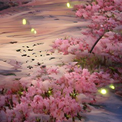 All the cherry blossoms begin to bloom.