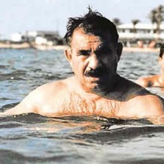 Turbokurdi