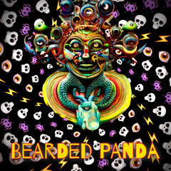 Hard-Raja-Tech [Bearded Panda] 162