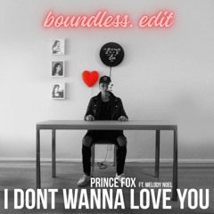 Prince Fox ft. Melody Noel - I Don't Wanna Love You (boundless. edit)