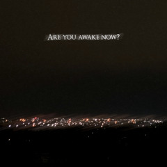 ARE YOU AWAKE NOW?