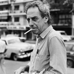 'La Gran Salina' por Ricardo Zelarayán