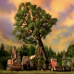The Lighting Tree Is Saved - A Tale For Thomas