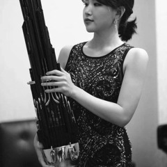 Concerto for Sheng and Orchestra : 1st Mov. Misterioso(2020)